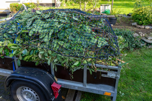 Best Shed Removal  in Pine Bush, NY